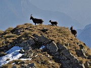 67 Di dosso in dosso